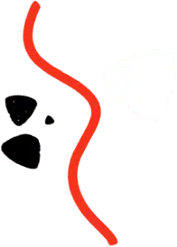 Consulta de Peso - Tu Tratamiento para Bajar de Peso