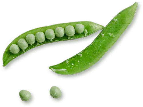 Consulta de Peso - Tu Tratamiento para Bajar de Peso